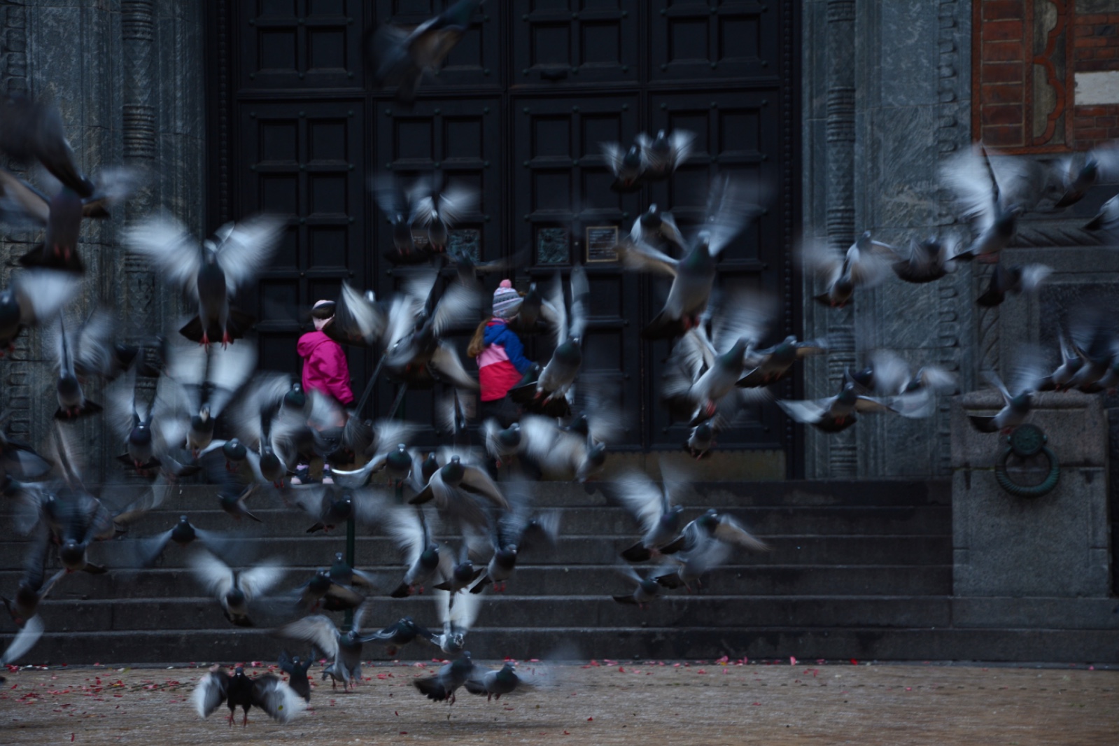 1763946972917867.jpg 二等奖-漫天之间-张亦驰.JPG